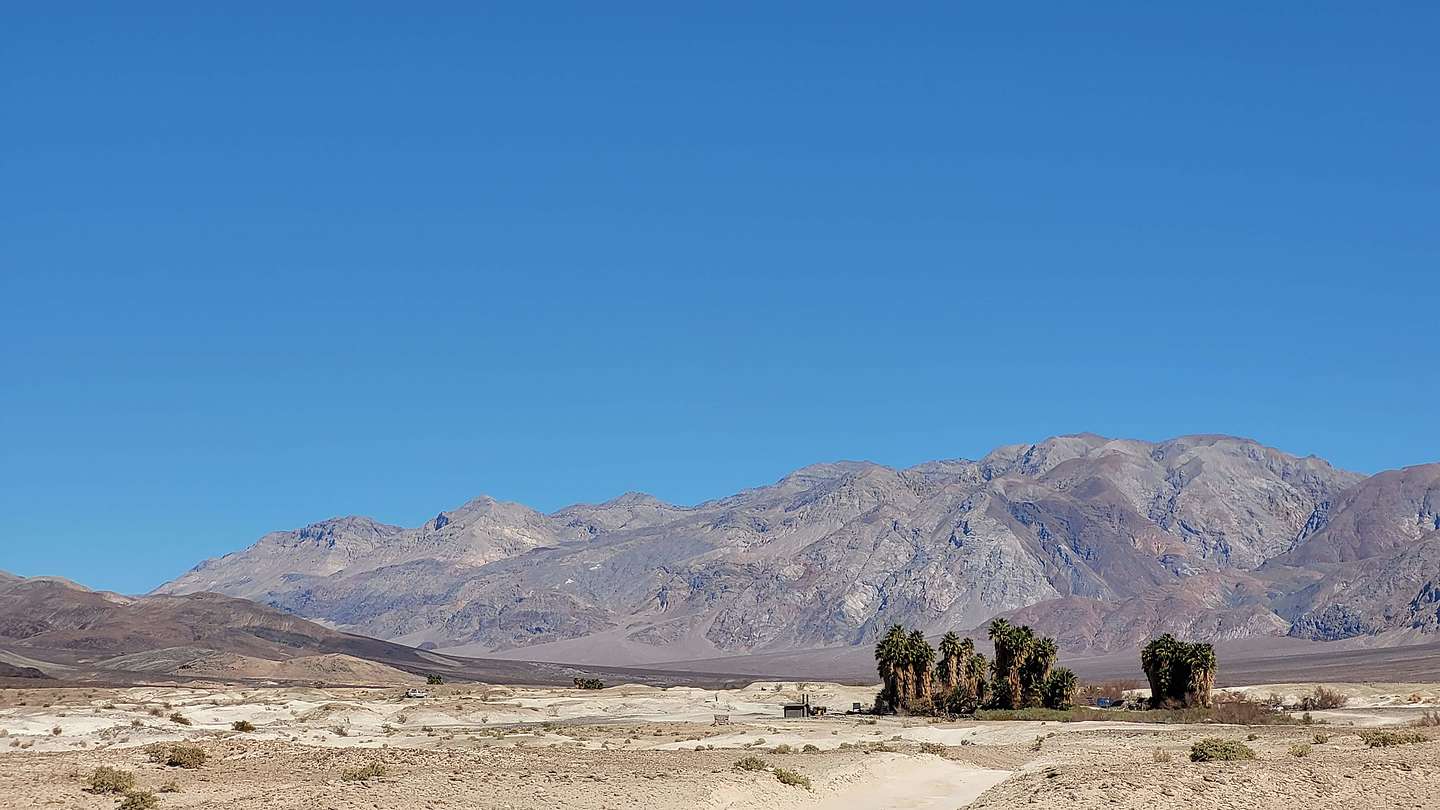 Approaching the first palm oasis